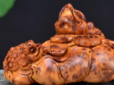 2018崖柏未來發(fā)展趨勢