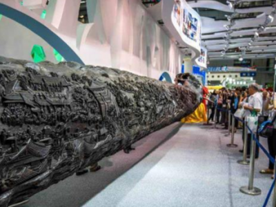 5.6亿乌木根雕横空出世，世界上最大木雕