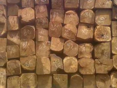 如何鉴别木料的材质，是不是名贵木材