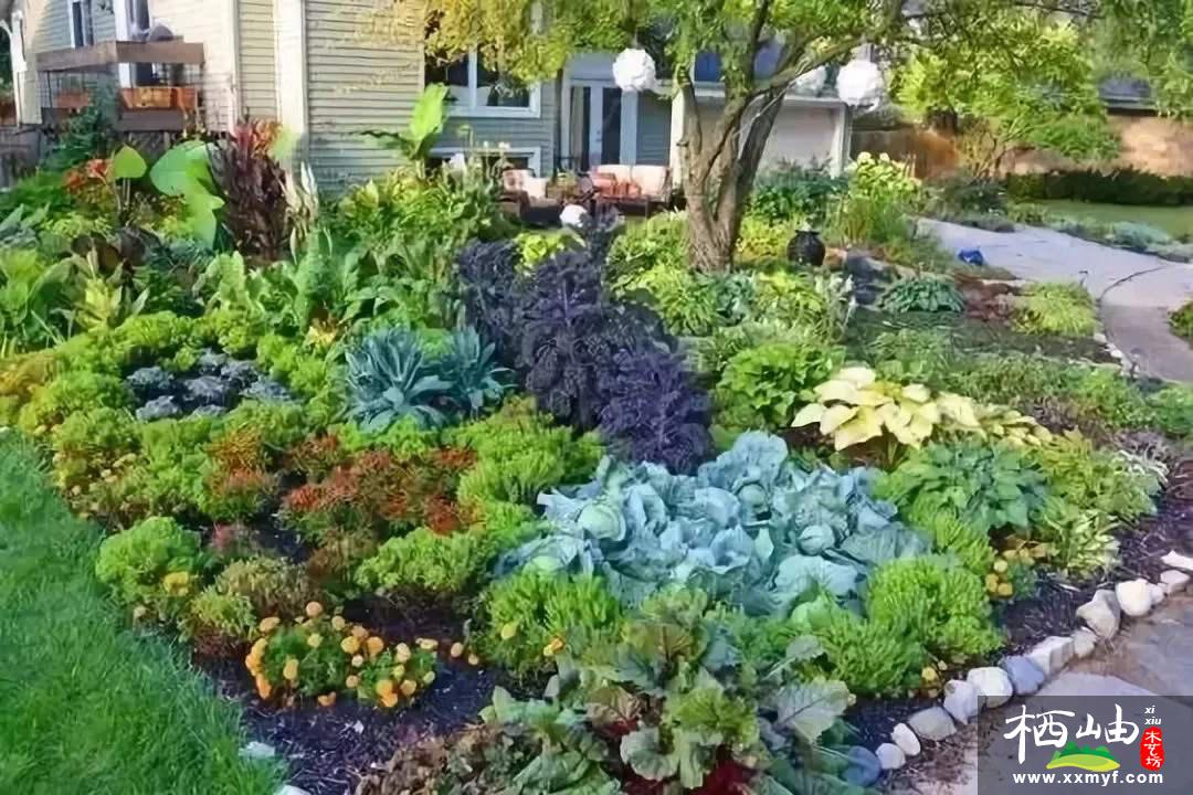 庭院菜園