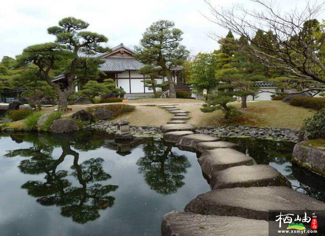 日式花园水池