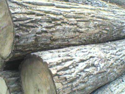 原木如何切割能够提高出材率
