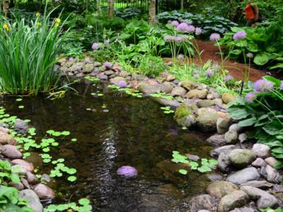 別墅庭院景觀魚池日常保養使水面清亮