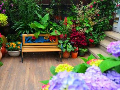 露台花园绿色植物如何选择与搭配