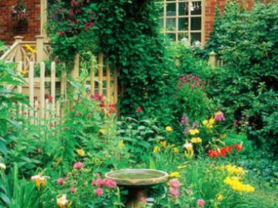 庭院别墅花园整体规划里芽虫的伤害和预防