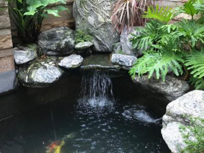 庭院魚池設計方案幾十年工作經驗總結