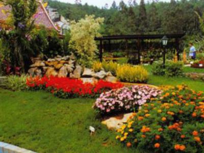 私家别墅伊甸园一二三四地区绿化花卉配搭方案