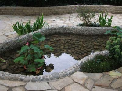 别墅伊甸园一二三四地区花园的鱼池设计讲解