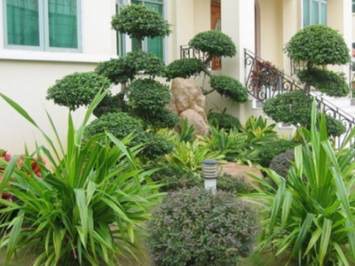 别墅绿化植物设计景观配置
