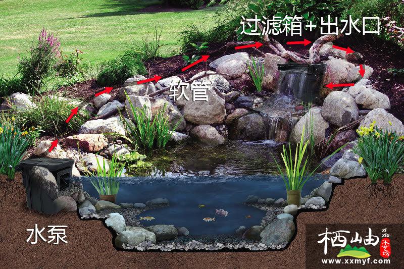 庭院水池循环水系统图图片