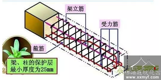 梁配筋示意图