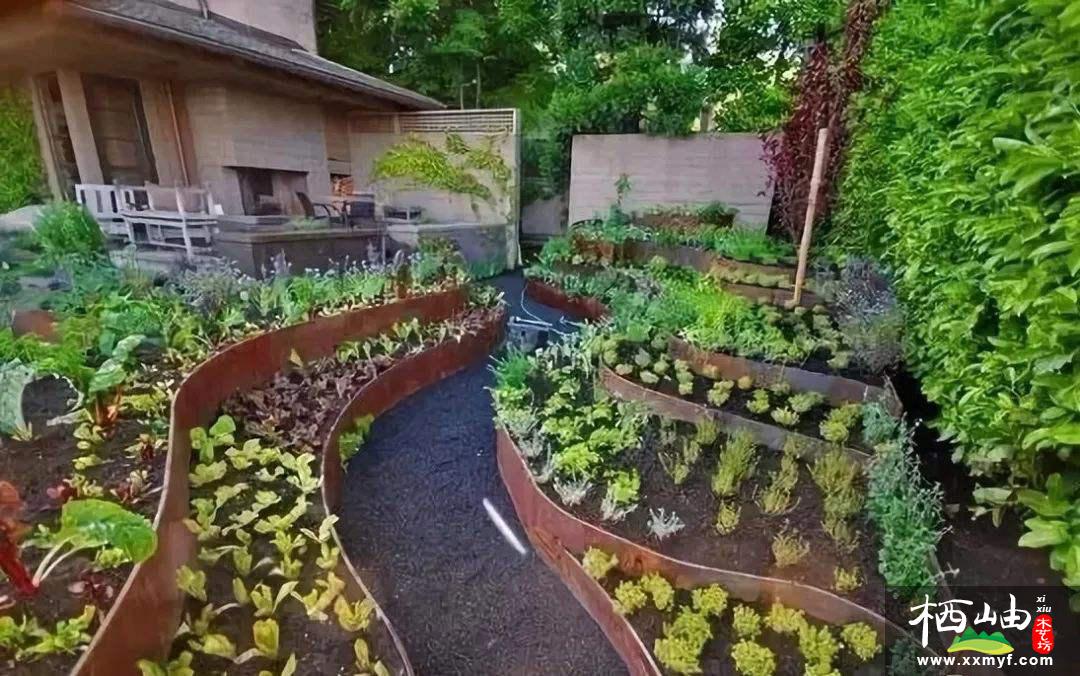 庭院菜园