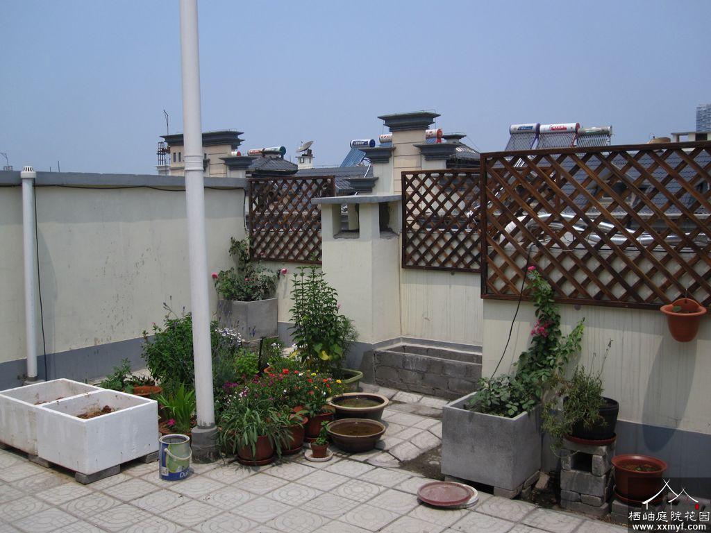 屋顶花园