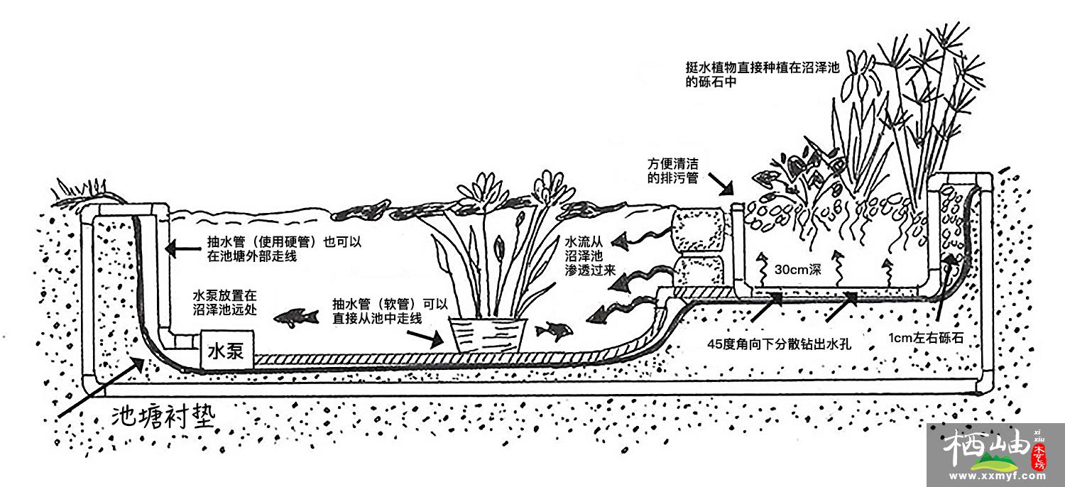 沼泽过滤示意图