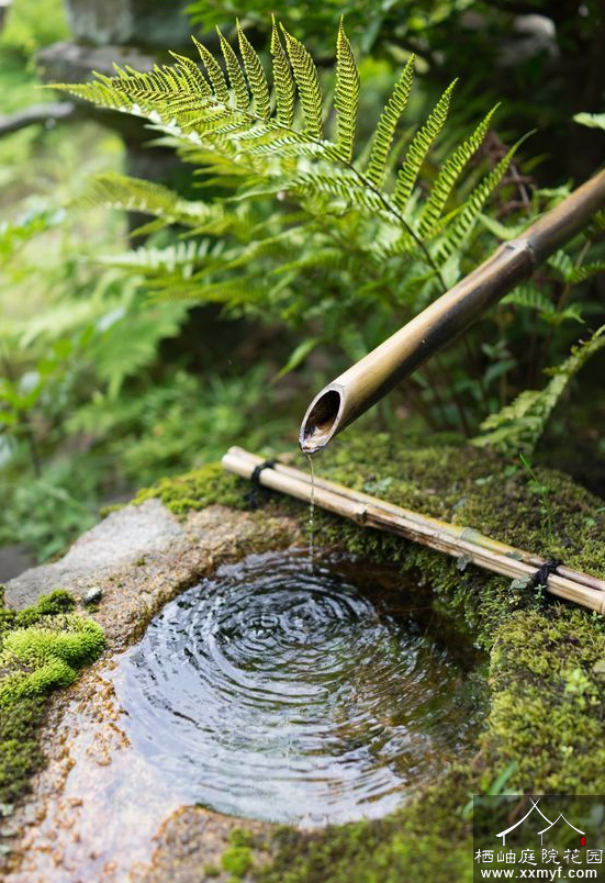 庭院水系