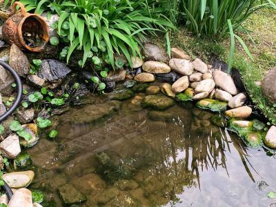 别墅庭院假山鱼池防水处理措施