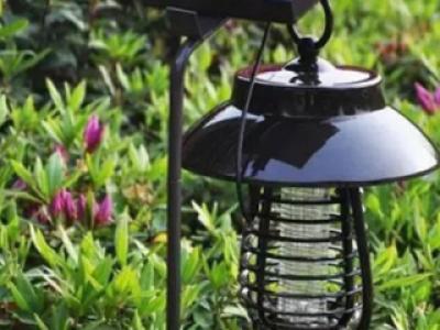 别墅花园设计如何防虫驱蚊