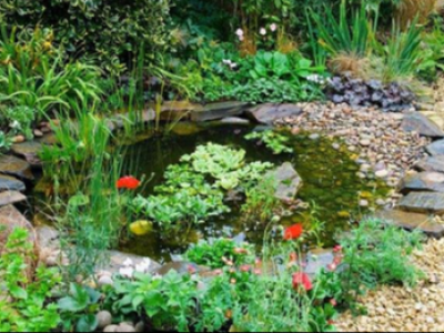 私家别墅庭院鱼池景观的不同风格设计