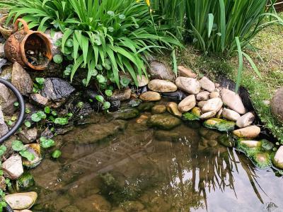 私家庭院别墅景观如何建造锦鲤鱼池