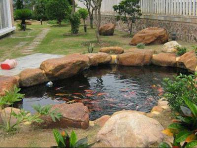 庭院鱼池的建造方法