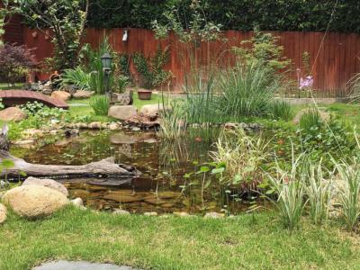小庭院水池设计效果怎么做才比较好