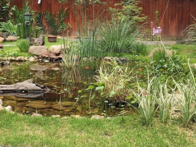 别墅花园中的水池如何打造呢