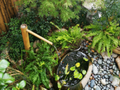 日式别墅花园设计的造景元素