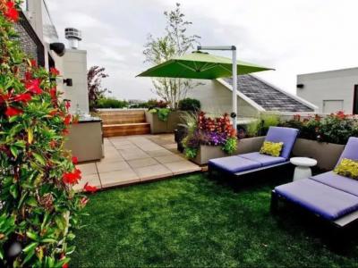 屋顶花园设计怎样选择植物