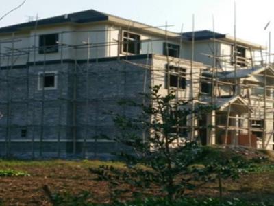 农村自建房设计图的基础在方案